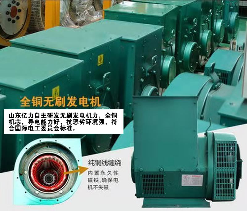 億力發(fā)電機(jī)單機(jī)
